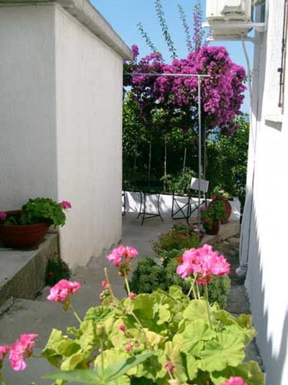 מלון גלוסה Angelinas House מראה חיצוני תמונה